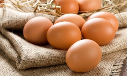 Runny Eggs now OK in pregnancy – Bring on the eggy soldiers!